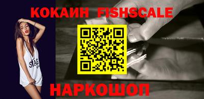 стафф Кингисепп