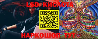 spice Камышлов