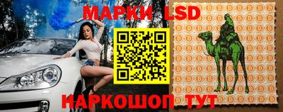 spice Камышлов
