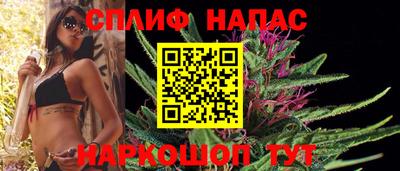 стафф Кингисепп