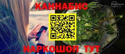 стаф Канаш