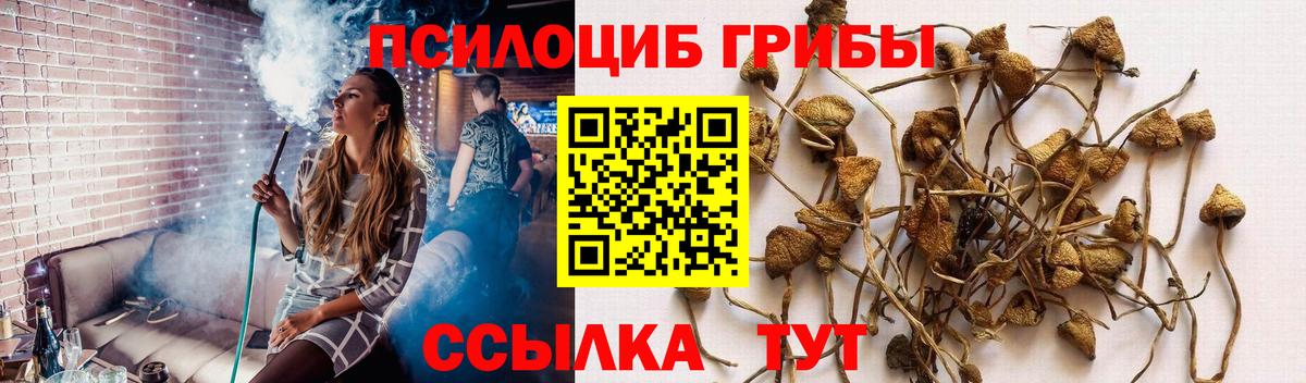 Галлюциногенные грибы GOLDEN TEACHER Бутурлиновка